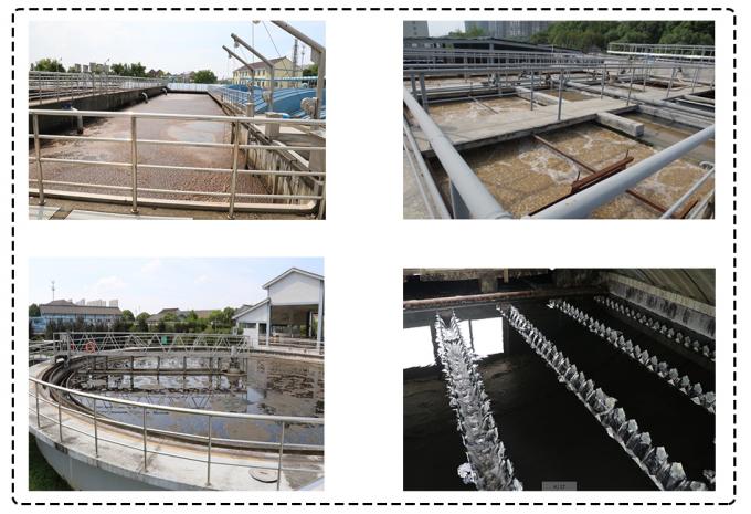 छोटे बॉस बायोचिप्स जलीय कृषि में स्थानांतरित बिस्तर बायोफिलम रिएक्टर के लिए शीर्ष पायदान विकल्प 1