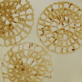 सुपर डेकार्बराइजेशन एमबीबीआर जल उपचार फ्लोटिंग फिल्टर मीडिया 25mm X 4mm