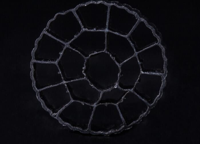 प्लास्टिक बायोसेल फिल्टर मीडिया एमबीबीआर निर्माता एफडीए सुरक्षित जैव भराव