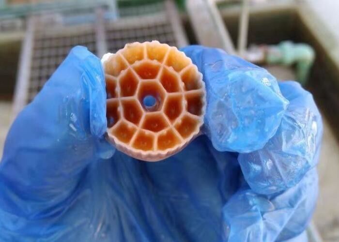 ब्लैक वर्जिन एचडीपीई मटेरियल एमबीबीआर प्लास्टिक फिल्टर मीडिया के लिए मछलीघर 25mm X 12mm