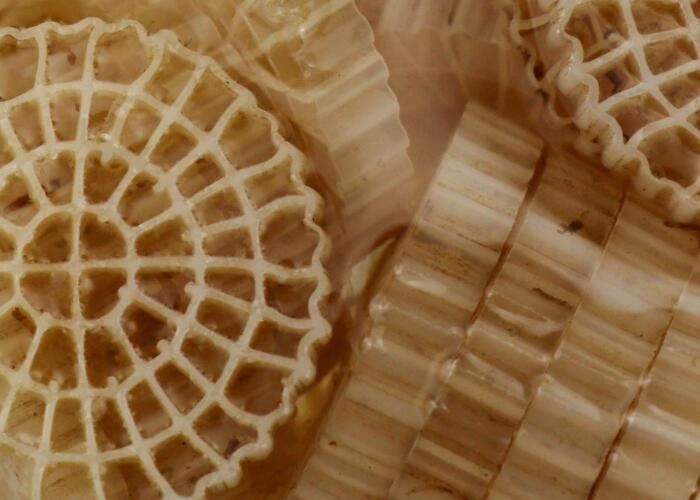 अपशिष्ट जल उपचार फ्लोटिंग फिल्टर मीडिया 64 छेद K5 बायो मीडिया के साथ कुंवारी एचडीपीई सामग्री